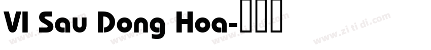 VI Sau Dong Hoa字体转换